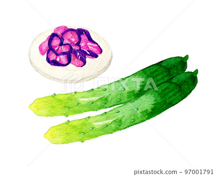 黃瓜和鹹菜夏季蔬菜&日本手繪水彩插畫素材 97001791
