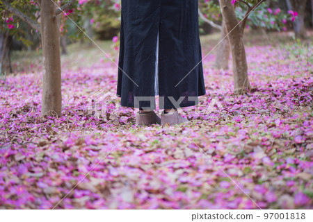 茶梅地毯和女人 97001818