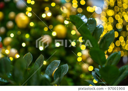 Merry x-mas,Leaves with Yellow Colorful light Abstract circular bokeh of The light tunnel Christmas tree background Decoration During Christmas and New Year Festival illumination. 97001908