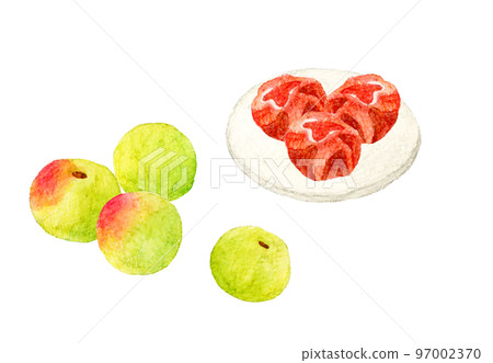 梅子水果和醃梅子水果手繪水彩插圖素材 梅子水果和醃梅子水果手繪水彩插圖素材 97002370