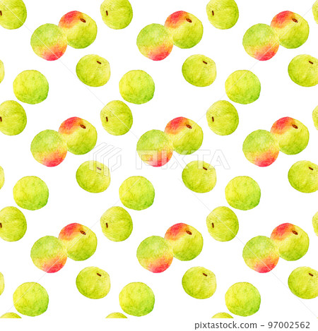 Plum pattern hand-drawn watercolor illustration fruit pattern Plum pattern hand-drawn watercolor illustration fruit pattern 97002562