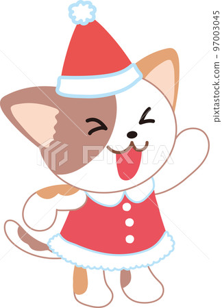 cat in santa suit 97003045