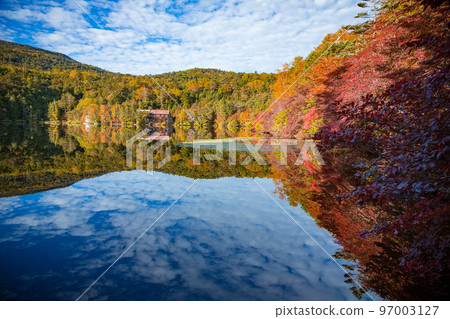 Shirakawa Pond 97003127