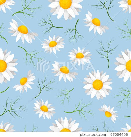Daisies. Seamless pattern with the image of... - Stock Illustration ...