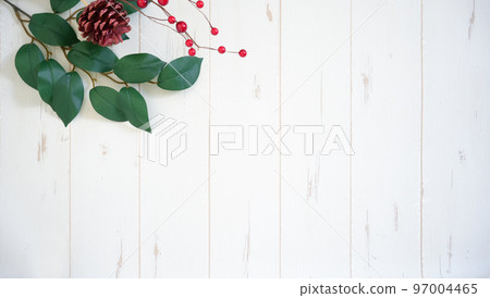 白板背景上的植物 97004465