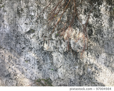 有根的沖繩石牆 97004984