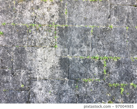 首里城的石垣 97004985