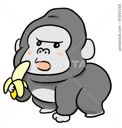 gorilla eating banana gorilla eating banana 97005568