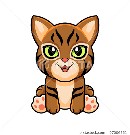 Cute pixie bob cat cartoon 97006561
