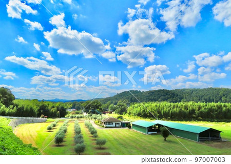 Tranquil scenery with a farm near Saitama Korai Shrine 97007003