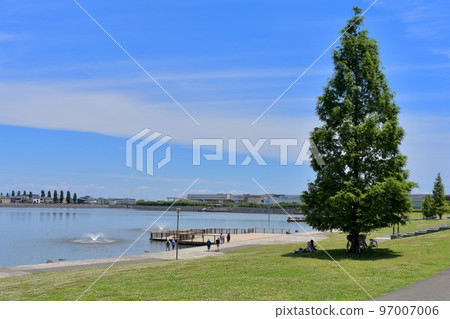 Landscape of a park with a large pond 97007006