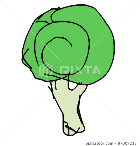 西蘭花手繪 97007235