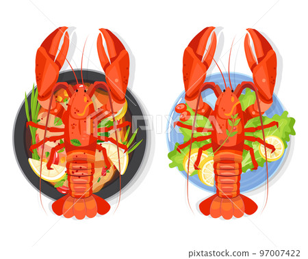 Boiled lobster salad, Cartoon vector seafood illustration. Boiled lobster salad, Cartoon vector seafood illustration. 97007422