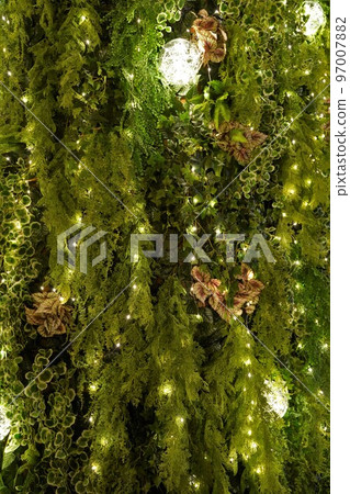 鮮花聖誕節，聖誕裝飾品，春天聖誕節，聖誕樹，橫濱，日本 97007882