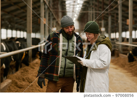 Veterinarian writing prescription after medical exam on farm and giving recommendations to farmer 97008056