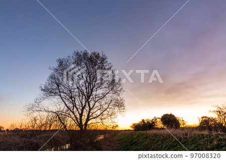 "Saitama Prefecture" Winter landscape of Minuma rice field "Saitama Prefecture" Winter landscape of Minuma rice field 97008320