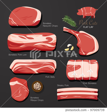 boneless pork. Cut of meat set. flat lay graphic idea. collection. Butcher shop meat products. Vector illustration boneless pork. Cut of meat set. flat lay graphic idea. collection. Butcher shop meat products. Vector illustration 97009739