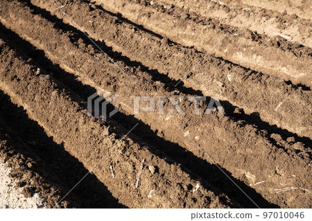 Plowed field with garden-beds in the spring 97010046