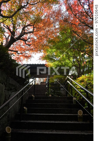 秋天的紅葉盛開，秋天的定山年，四仙閣 97010648