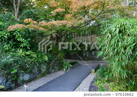 秋天的紅葉盛開,秋天的定山年,四仙閣 秋天的紅葉盛開,秋天的定山年,四仙閣 97010662