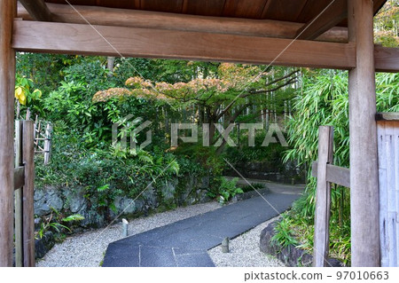 Autumn leaves in full bloom, Jozanen in autumn, Shisenkaku 97010663