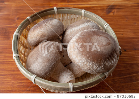 delicious looking shiitake 97010692