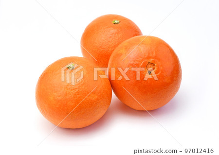 Citrus fruits (Aika/same variety as Beni Madonna) 97012416