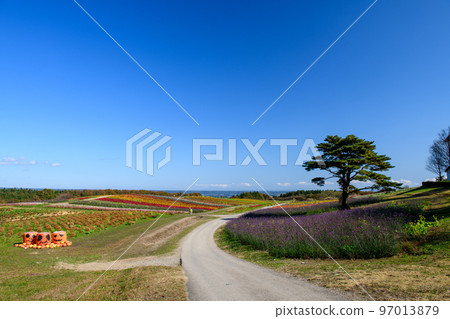 Yakurai Garden Furu no Oka (Miyagi Prefecture) 97013879