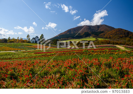 藥井花園古野岡和藥井山(宮城縣) 藥井花園古野岡和藥井山(宮城縣) 97013883