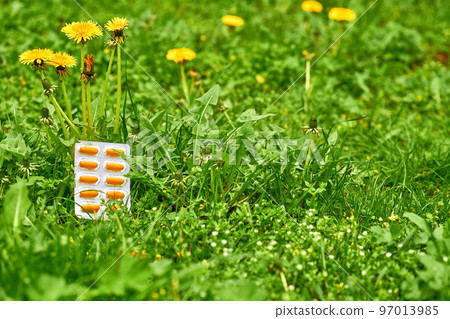 White blister with orange red pills on a green lawn with dandelions 97013985