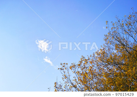 Blue sky and cloud image Blue sky and cloud image 97015429