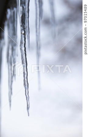 Glistening icicles hang on the ledge on a snowy day. Glistening icicles hang on the ledge on a snowy day. 97015489