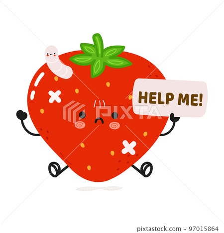 Cute sad sick strawberry asks for help character. Vector hand drawn cartoon kawaii character illustration icon. Isolated on white background. Suffering unhealthy strawberry character concept 97015864