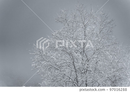 Mountain scenery with snow falling Yamagata City, Yamagata Prefecture Mountain scenery with snow falling Yamagata City, Yamagata Prefecture 97016288