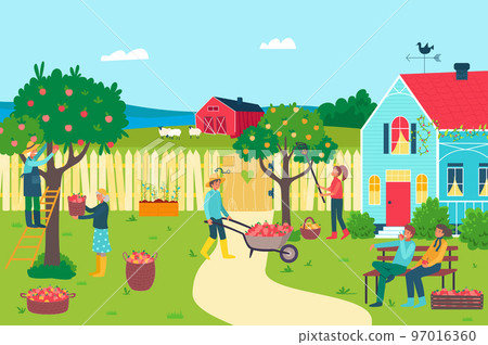 Farm garden with apple tree, vector illustration, flat man woman farmer character harvest fruit at nature, agriculture farming with organic fruit 97016360