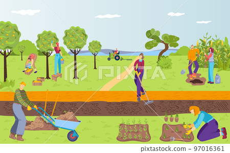 Plant harvest at farm, vector illustration, flat man woman gardener character make agriculture work, farmer use rake, wheelbarrow, shovel and tractor. 97016361