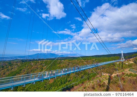 靜岡縣的三島天空步道（吊橋）和富士山 97016464