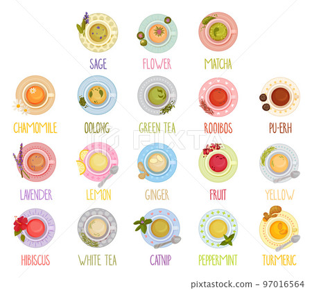 Different Tea Types and Herbal Drinks Poured in Teacup Standing on Saucer View From Above Big Vector Set 97016564