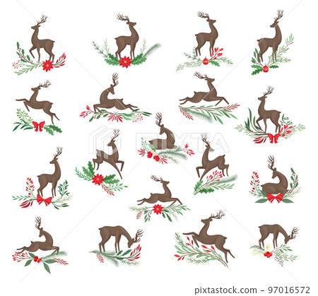 Brown Deer with Antlers and Winter Twigs and Flower Composition Big Vector Set 97016572