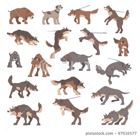 Aggressive Large Dogs Baring its Teeth and Barking Big Vector Set Aggressive Large Dogs Baring its Teeth and Barking Big Vector Set 97016577