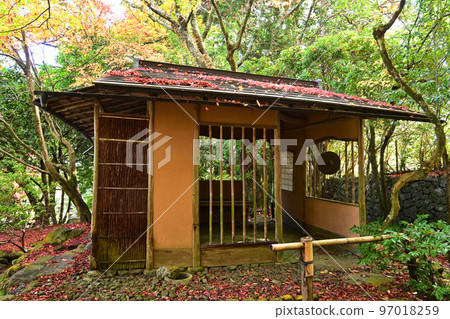 秋天的滋賀縣大津市舊竹林院日本庭園亭 97018259