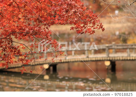 秋天風景在日本 97018825