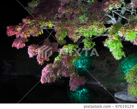 Ritsurin Park autumn light up 97019129