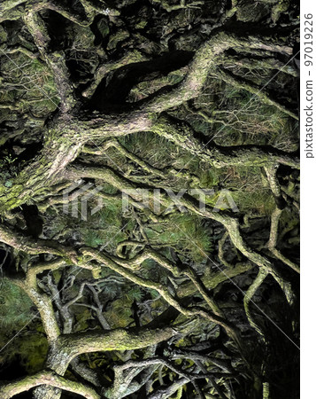 栗林公園秋天點燈 97019226