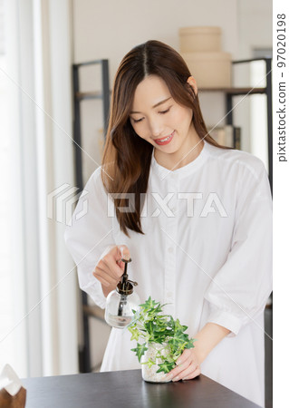 一個在觀葉植物上噴水的女人 一個在觀葉植物上噴水的女人 97020198
