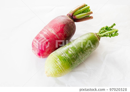 Blue radish and red radish on white background 97020328