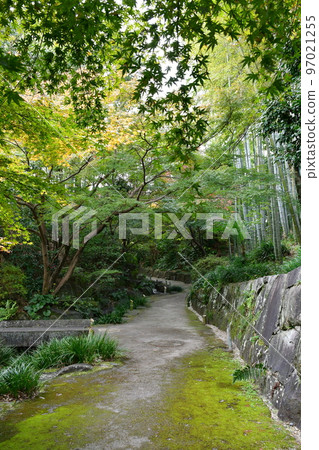 秋天的紅葉盛開，秋天的定山年，四仙閣 97021255