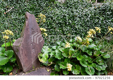 秋天的紅葉盛開,秋天的定山年,四仙閣 秋天的紅葉盛開,秋天的定山年,四仙閣 97021256