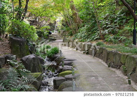 Autumn leaves in full bloom, Jozanen in autumn, Shisenkaku 97021258