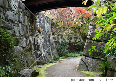 Autumn leaves in full bloom, Jozanen in autumn, Shisenkaku Autumn leaves in full bloom, Jozanen in autumn, Shisenkaku 97021276